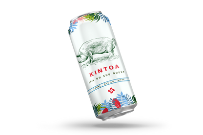 KINTOA - IPA du Sud Ouest