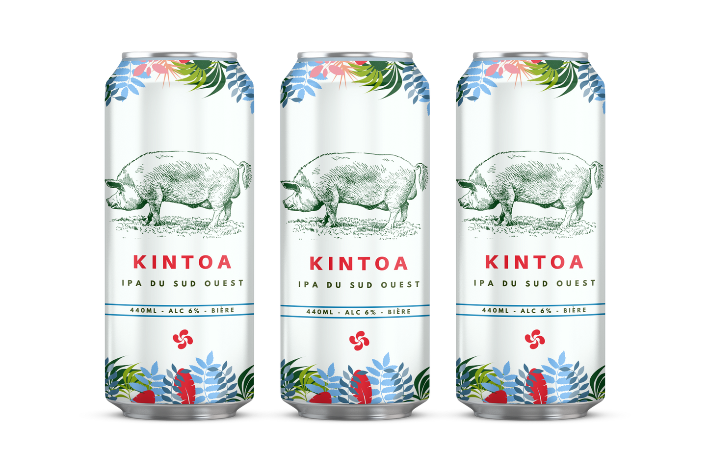 KINTOA - IPA du Sud Ouest