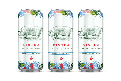 KINTOA - IPA du Sud Ouest